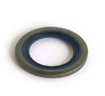 Bearing Seal