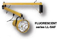 Fluorescent, Single Strut Arm/Dry Locations